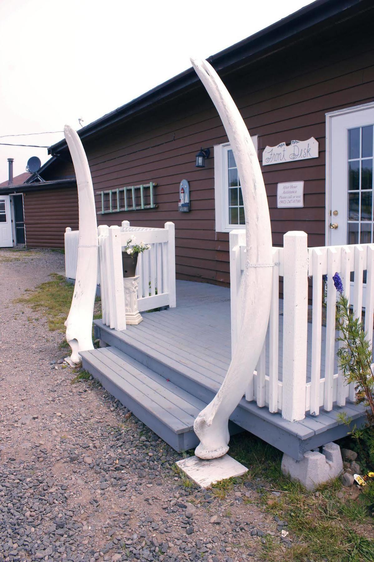 Brier Island Lodge Westport Exterior foto